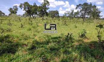 Imagem 6: Fazenyde 80 Alqueires a 90 km de Goiânia