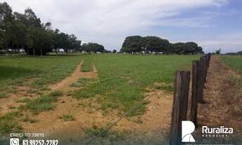 Imagem 5: Fazenda na região do vale do Araguaia - TO