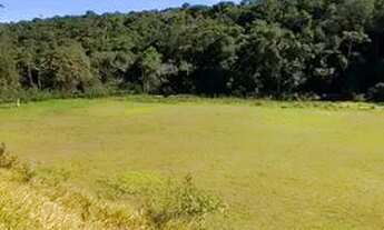 Imagem 4: Vendo Chácara Mairiporã/ Ideal para eventos grandes