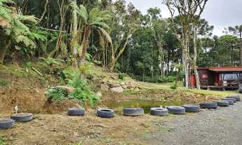 Imagem 4: 2 HECTARES À VENDA - EXCELENTE OPORTUNIDADE