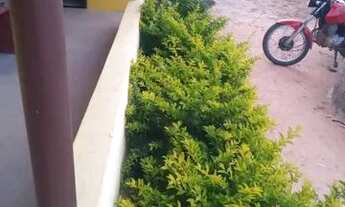 Imagem 3: SÍTIO com uma tarefa