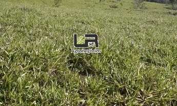 Imagem 3: Fazenda de 40 Alqueires em Santa Tereza GO