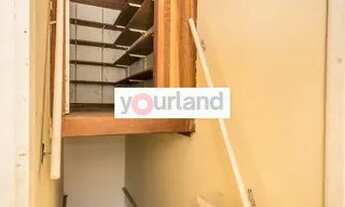 Imagem 6: PORTO ALEGRE - Casa Padrão - Floresta