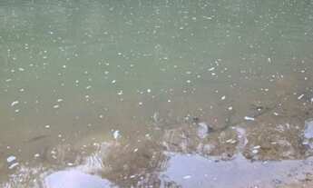 Imagem 4: Fazenda /Saída Pirapora...202 Hectares!!!!2 Km Margem De Rio...