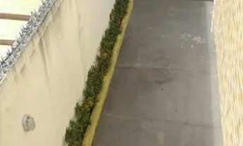 Imagem 6: Arembepe 2/4 $650