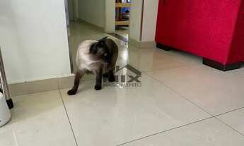 Imagem: Apartamento para locação, Taboão, São