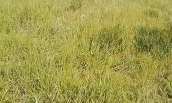 Imagem 2: Terreno - Loteamento Horizonte Azul - Itatiba