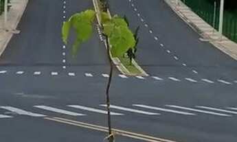 Imagem 5: Lote em condomínio à venda, Loteamento Park Gran Reserve - Indaiatuba/SP