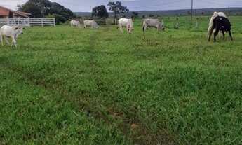 Imagem 2: Fazenda /Saída Pirapora...202 Hectares!!!!2 Km Margem De Rio...