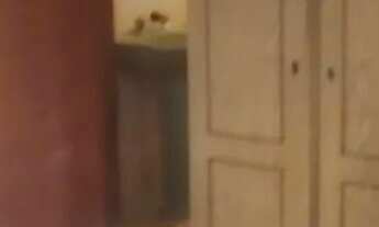 Imagem 3: Suite mobiliada no jaragua