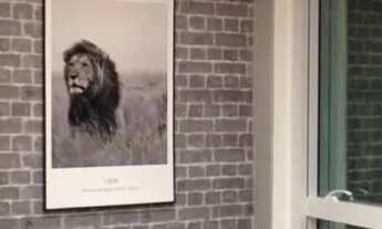 Imagem: CONJ. COMERCIAL - CONSOLAÇÃO - SP