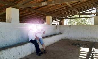 Imagem 4: FAZENDA a 130 km de BH no Bananal Curvelo