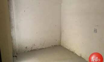 Imagem 4: São Paulo - Apartamento Padrão - Vila Matilde