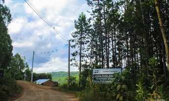 Imagem 4: Terreno - Bairro Linha Ávila