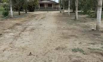 Imagem: Sítio em Aldeia (Macaíba Pintada