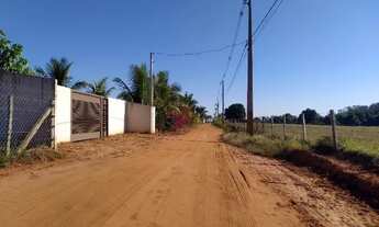 Imagem 4: 02 Lindas Chácaras de 1000 m2 na cidade de Pedranópolis, interior do estado de São Paulo