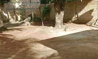 Imagem 2: Aluga-se casa no bairro Silvio Leite