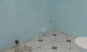 Imagem 4: Casa em André Carloni!