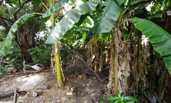 Imagem 3: Terreno - venda Terreno / lote com venda por R$1.300.000