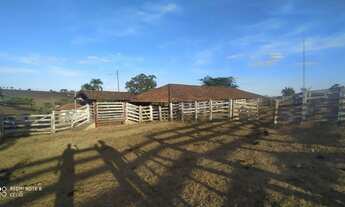 Imagem: Fazenda 53 alq. Em trindade Go. 7 km este.chão