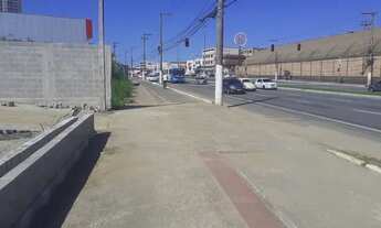 Imagem: Terreno Comercial - 35m de frente - Rod