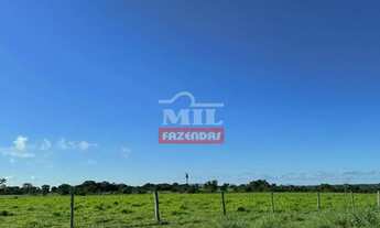 Imagem 6: Fazenda 75 alqueires (363 hectares) Mozarlândia - Go