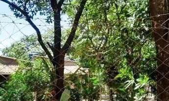 Imagem 3: LINDA CHACARA DE 2400 METROS EM TRAS MARIAS