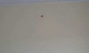 Imagem: Vendo Casa Bonsucesso