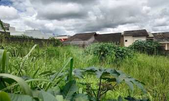 Imagem 3: Terreno à venda em Nova Cerejeira - SP