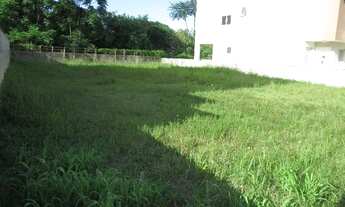 Imagem 3: ÓTIMO TERRENO PLANO - 450m² - EM ÁREA RESIDENCIAL