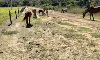 Imagem 5: Imóvel para venda possui 329000 metros quadrados em Zona Rural - Arinos - MG