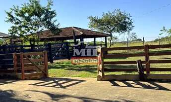 Imagem 3: Chácara 7 alqueires (33,88 hectares). Guapó - GO