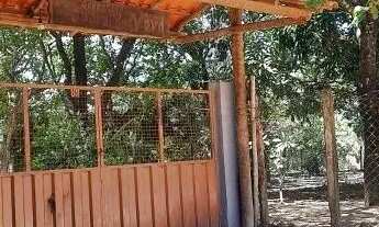 Imagem 5: LINDA CHACARA DE 2400 METROS EM TRAS MARIAS