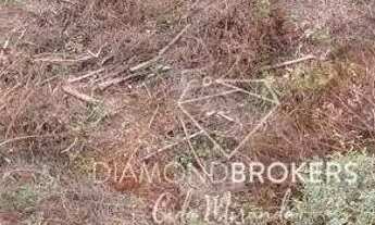 Imagem 2: Terreno à venda, 1000 m² por R$ 4.990.000 - Vale dos Cristais - Nova Lima/MG