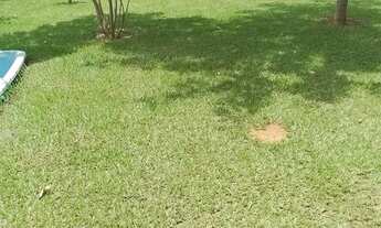 Imagem 6: Chácara de 3 alqueires em Adelandia-Go