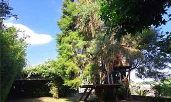 Imagem 6: Sobrado com 4 quartos à venda em Horto Florestal - SP