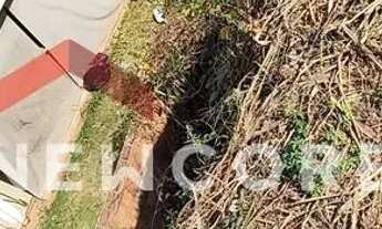 Imagem 5: Lote em Rua Leonor Martins Junqueira - Vivenda Cote Gil - Olímpia/SP