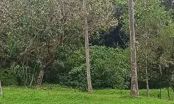 Imagem 4: Área de 22.000m2 á venda na Ilha de Guaratiba - Rio de Janeiro - RJ