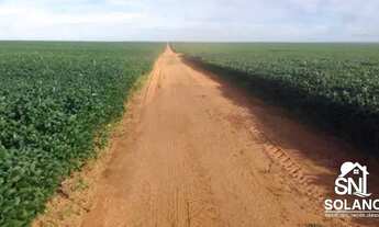Imagem 6: FAZENDA COM FABRICA DE ÓLEOS VEGETAIS EM NOVA MUTU/ MT