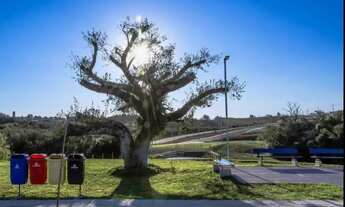 Imagem 2: Terreno a 3 minutos do centro de Gravataí