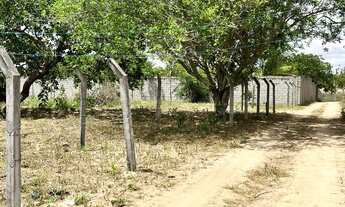 Imagem 5: Vende-se terreno em São José *11