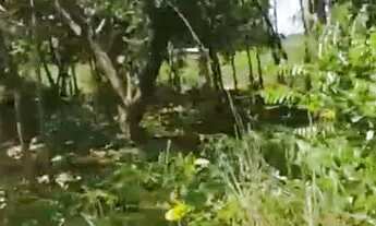 Imagem: CHÁCARA 6000 MT QUADRADO VENDO OU TROCO