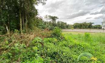 Imagem 3: Imóvel no Sete de Setembro, Ivoti