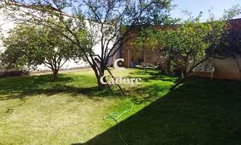 Imagem 2: Casa à Venda no Segismundo Pereira com terreno de 300m² e quintal amplo!