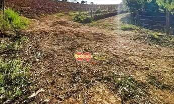 Imagem 2: Sitio Rural / Monte Alegre Do Sul