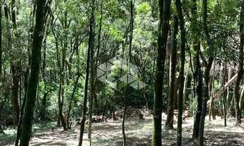 Imagem 4: Terreno com 2556m² Linha 40 no Bairro Nossa Senhora da Saúde em Caxias do Sul