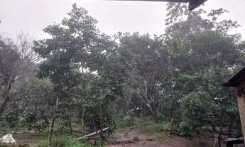 Imagem 3: Chácara em mucajaí