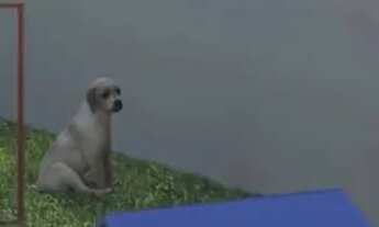 Imagem 5: Mirat Martins De Sá, 4 Suítem Em 253M² E 4 Vagas De Garagem No Horto Florestal. 8TOKHF