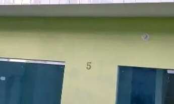 Imagem: Bosque das Palmas / Ponta Negra