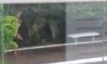 Imagem 6: Casa de condomínio em Rua Tucano - Jardim Itapoan - Monte Mor/SP